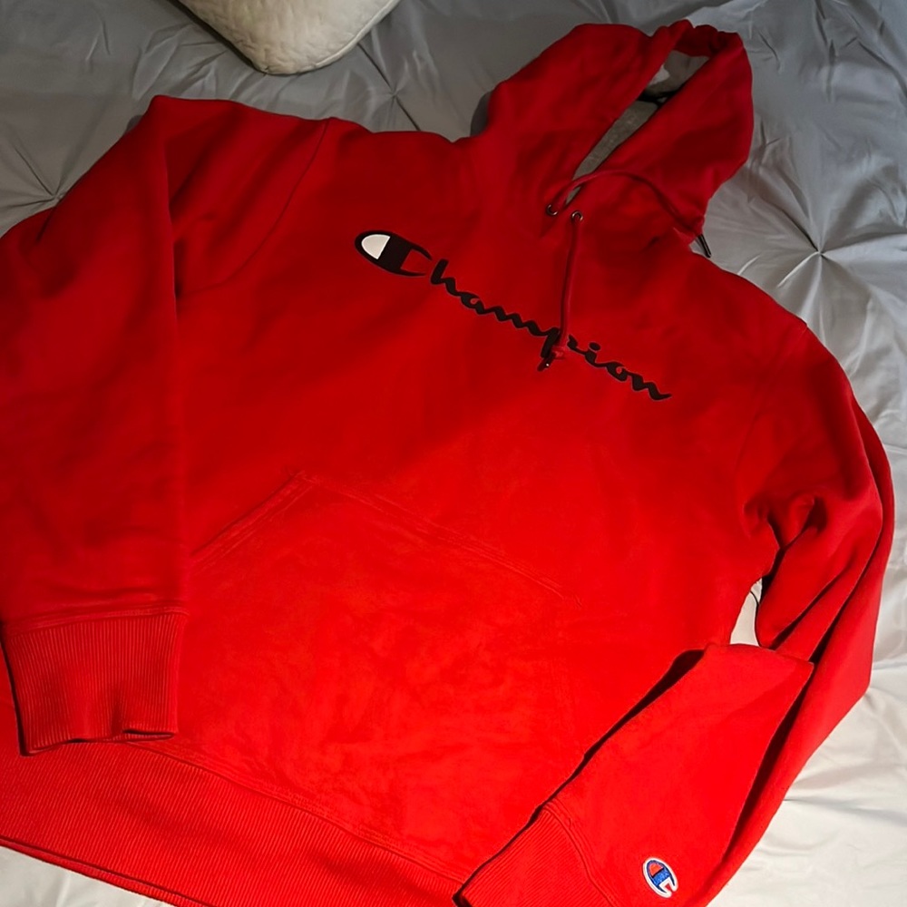 EUC mens champion hoodie